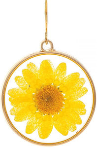REAL PRESSED DAISY EARRINGS